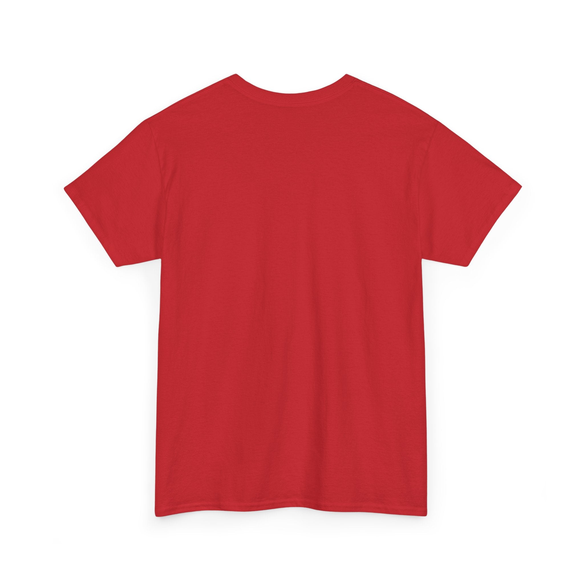 Morocco Atlas Lions Soccer T-Shirt